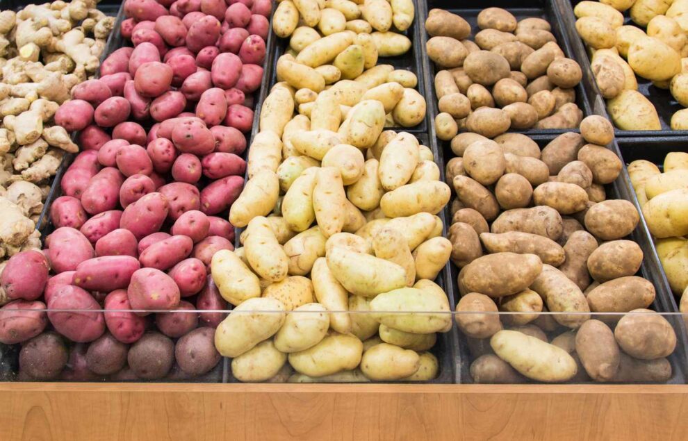 Red, Yellow, And White: Potatoes In All Their Varieties - Mla Guide To